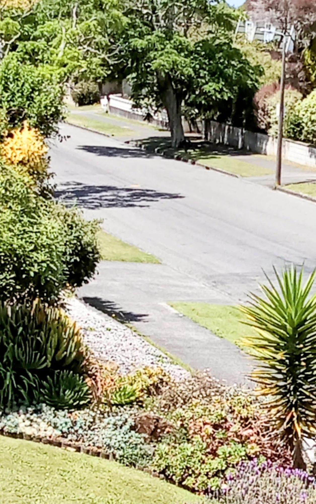 Park View 'Home Away From Home' Feilding Eksteriør bilde